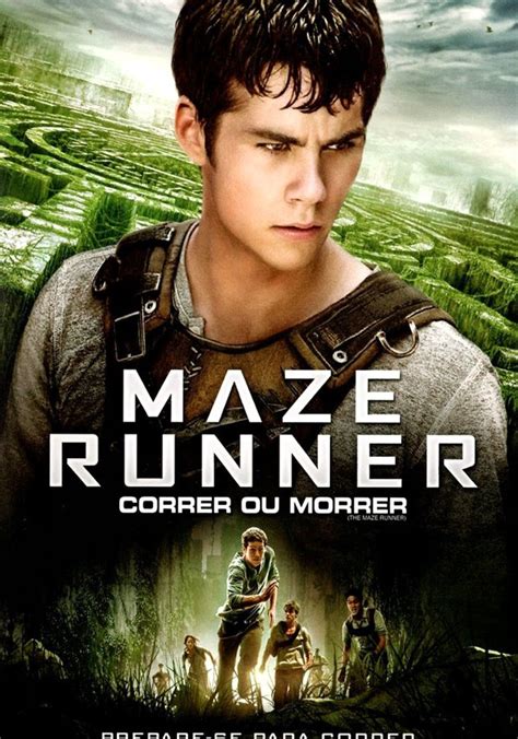 assistir maze runner correr ou morrer|The Maze Runner (2014)